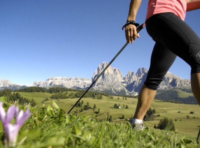  Les montagnes derrière vous 
